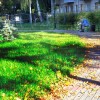 Благоустройство территории весной